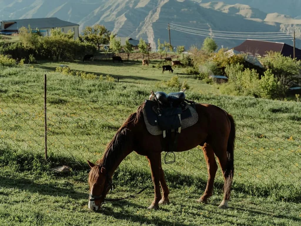 Dağıstan Atı