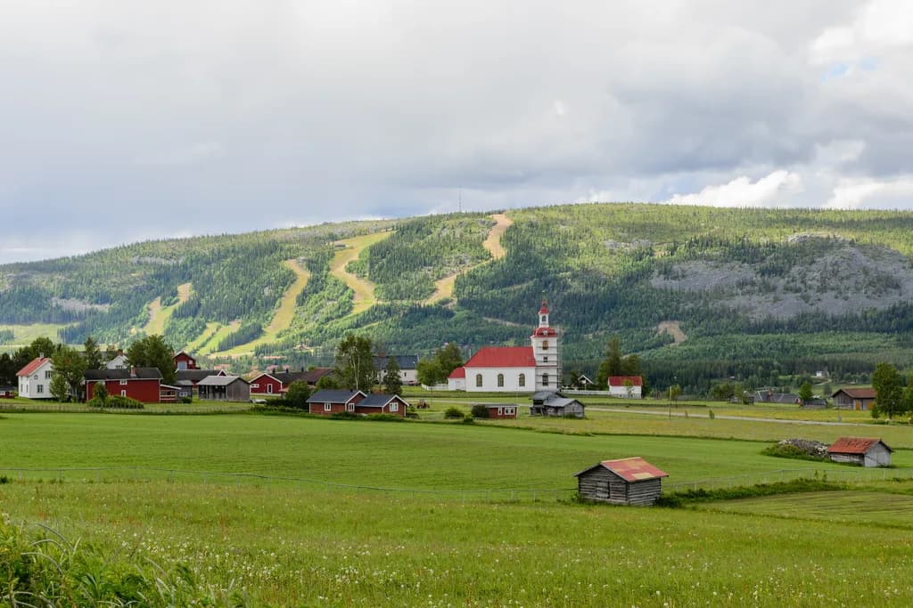 Klövsjö Koyunu