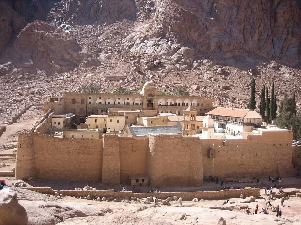 Sinai Tavuğu
