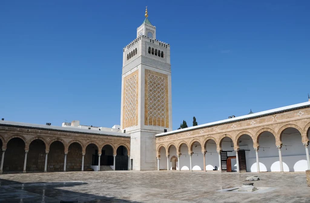 Tunis Koyunu