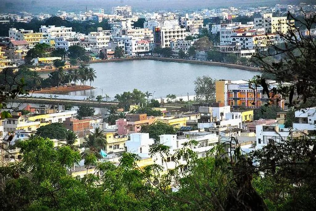 Ongole Sığırı